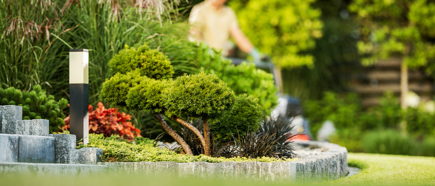 Landscaping